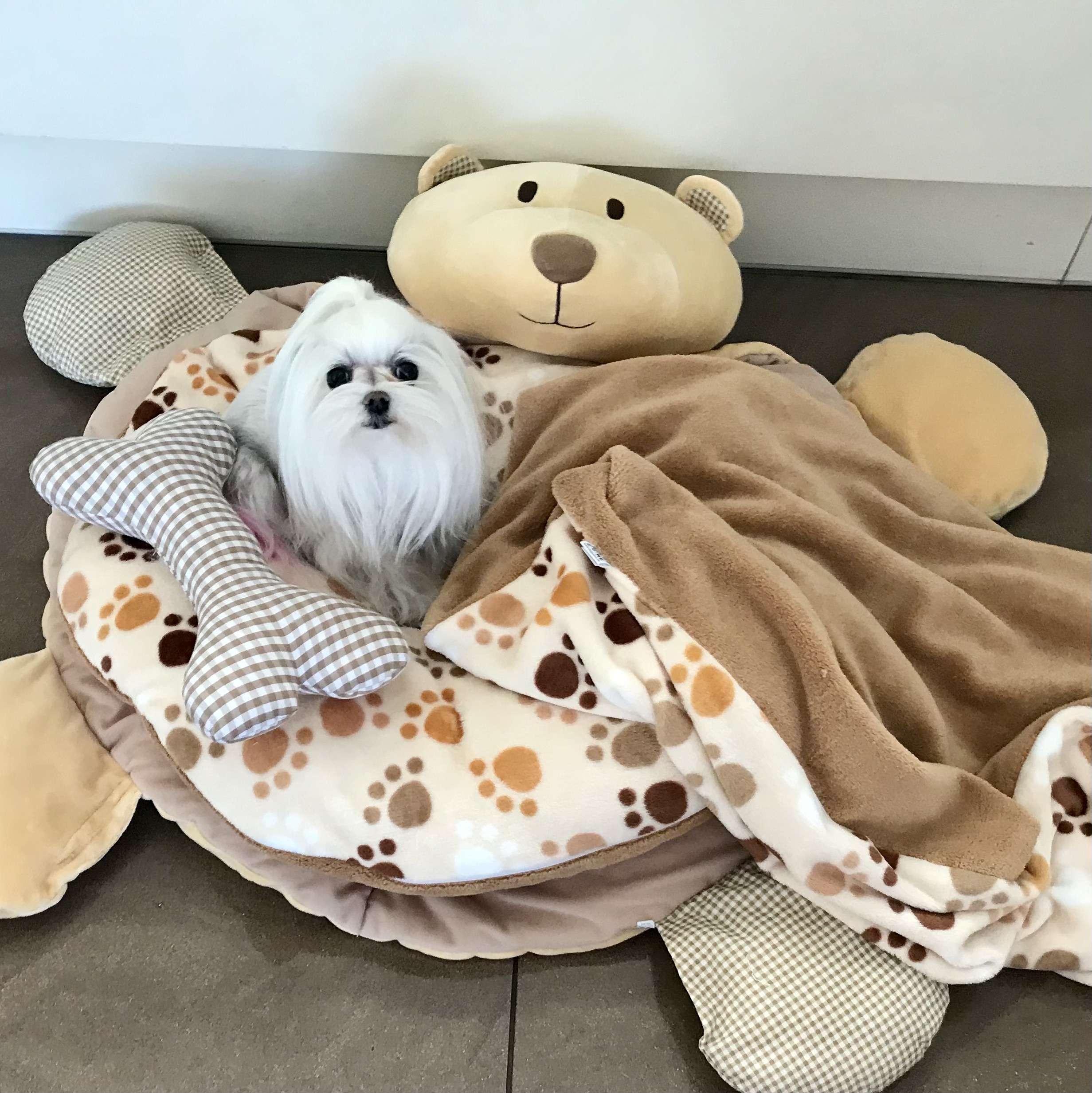 Hundebett Teddy kariert inkl.Kissen,Decke,