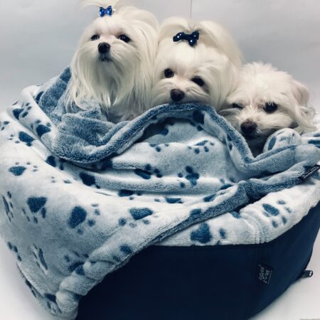 Hundebett,Kuschelnest DREAMLAND BLUE
