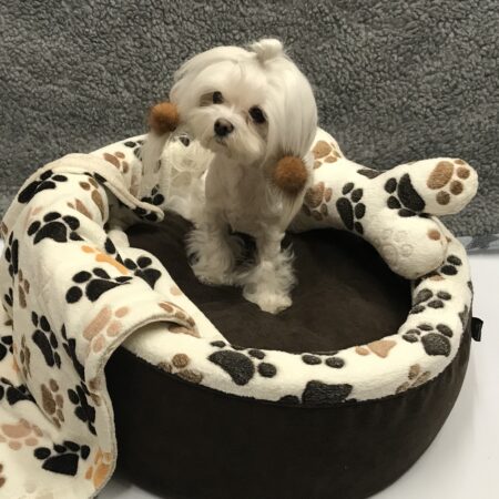 Hundebett,Kuschelnest DREAMLAND BROWN