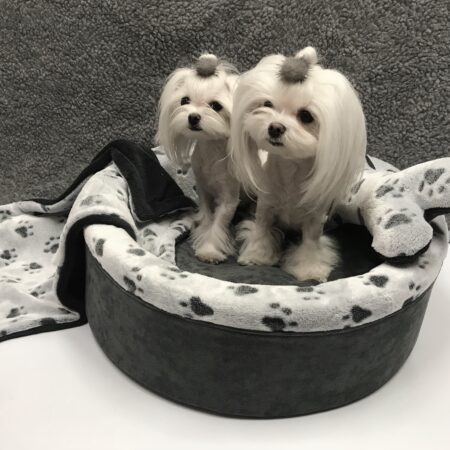 Hundebett,Kuschelnest DREAMLAND GREY Gr.1