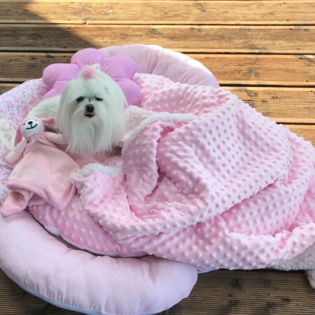 Hundebett,Kuschelnest PINK inkl.Decke,Kissen,Spielzeug