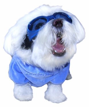 Hundebrille * BLUE *