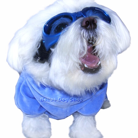 Hundebrille * BLUE *