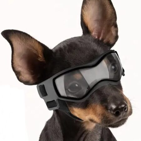 Hundebrille*LITTLE DOG*Black Gr.XS Mini Hunde