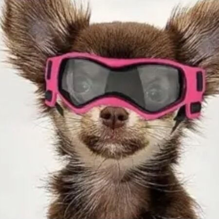 Hundebrille*LITTLE DOG*Pink Gr.XS Mini Hunde