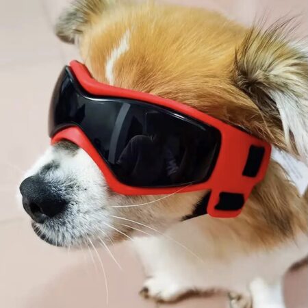 Hundebrille*LITTLE DOG*Red Gr.XS Mini Hunde