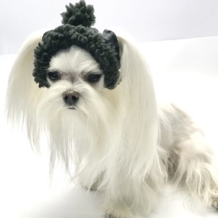 Hundecappy mit Bommel  ,Wintermütze POLAR NIGHT