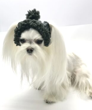 Hundecappy mit Bommel ,Wintermütze POLAR NIGHT