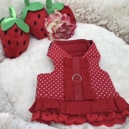 Hundegschirr Pünktchen Rot