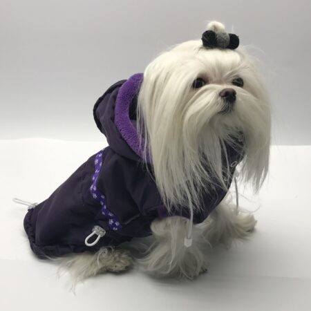 Hundejacke,Winterjacke mit Schal NESNA PURPLE