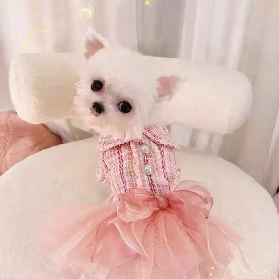 Hundekleid,Mantel Karos Rosa
