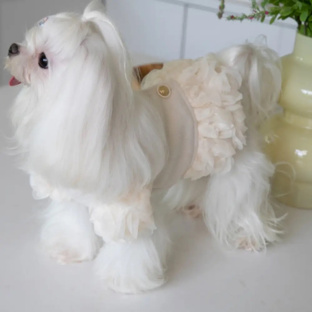 Hundekleid,Mantel ,Winterkleid ZAUBEROSEN
