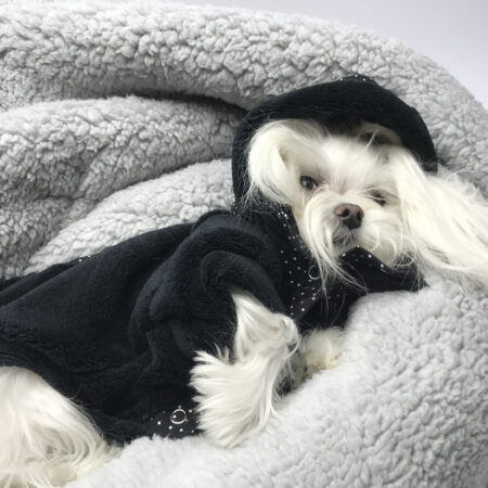 Hundepulli BIG CROWN black