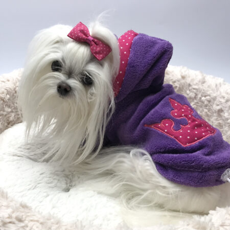 Hundepulli BIG CROWN purple