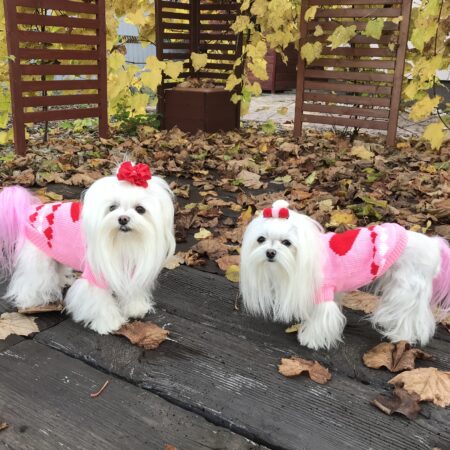 Hundepullover ,Strickpullover für Hunde PINK LOVELY HEART