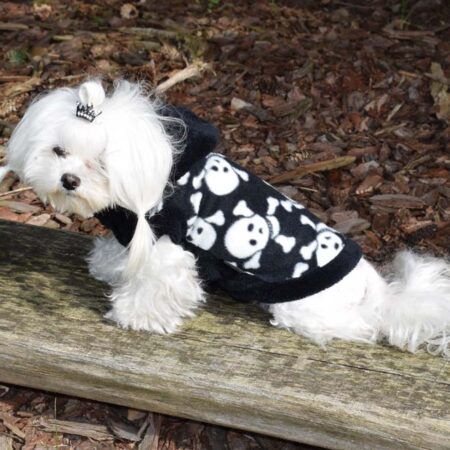 Hundepullover ,Swatshirt ,Kaputzenpulli SKULLY BLACK RESTPOSTEN