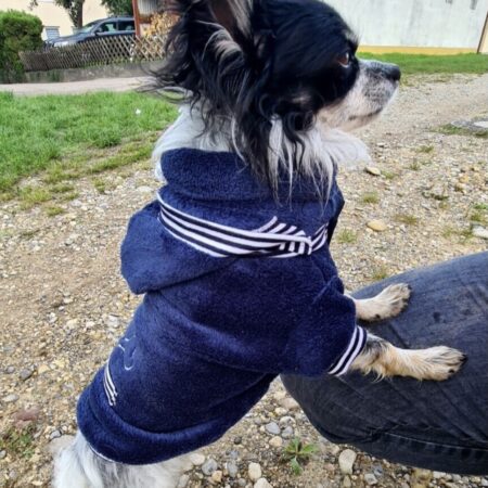 Hundepullover für Hunde BONE Darkblue