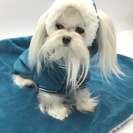 Hundepullover für Hunde BONE PETROL