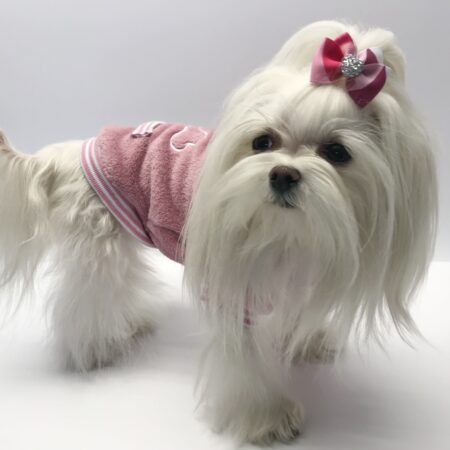 Hundepullover für Weibchen BONE ROSE