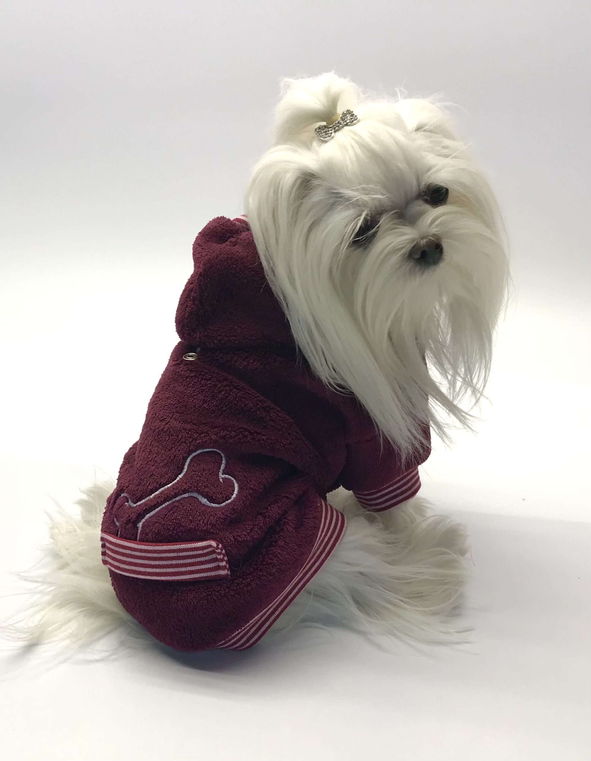 Hundepullover für Weibchen BONE Weinrot