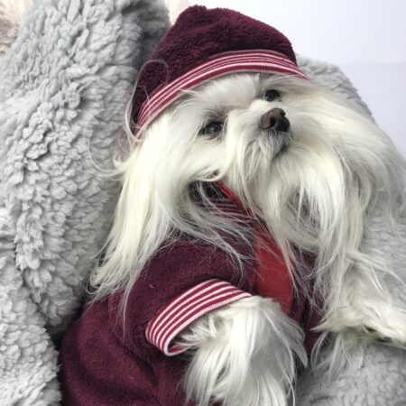 Hundepullover für Weibchen BONE Weinrot