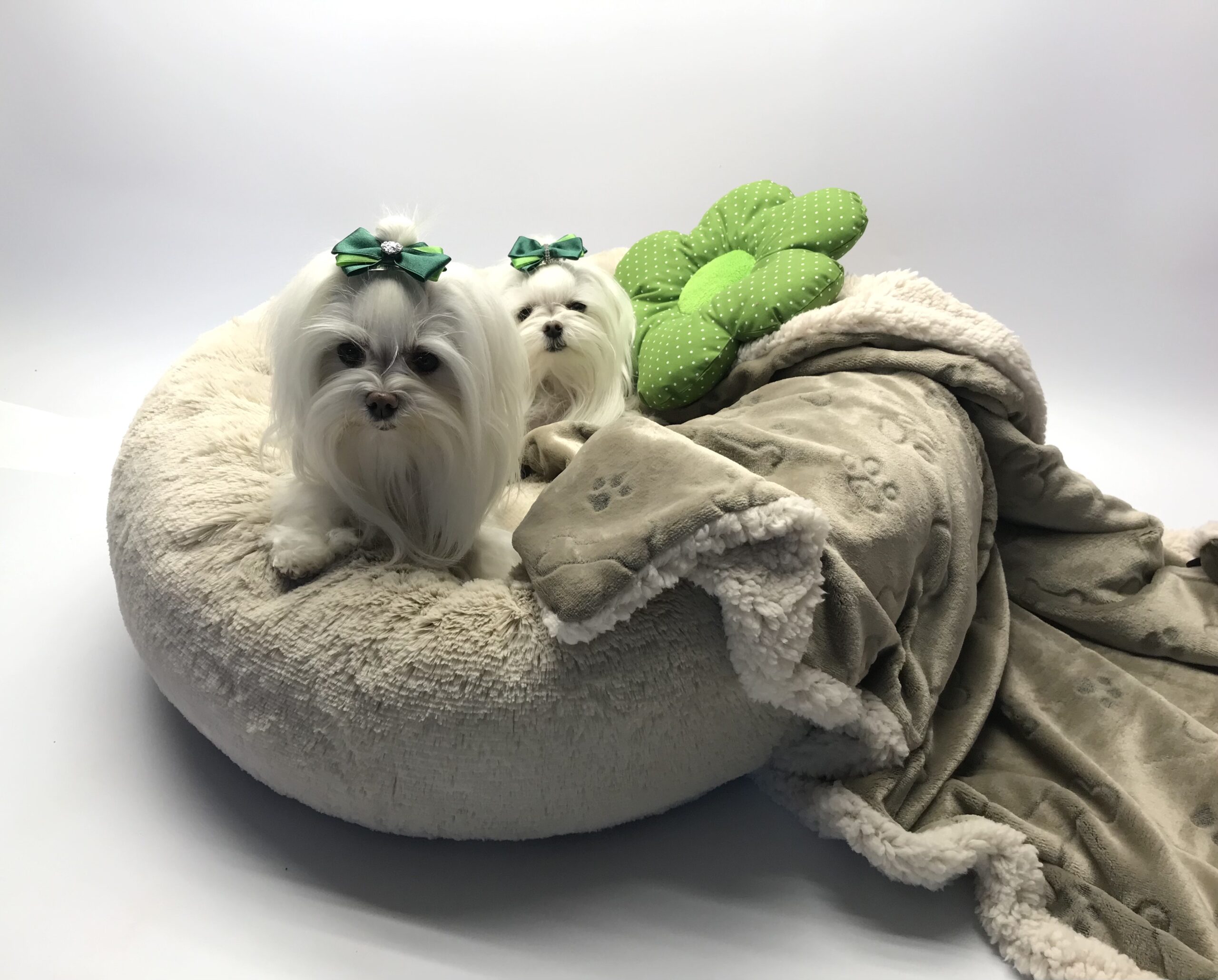 Hundeschleife Satin Elegance Herz