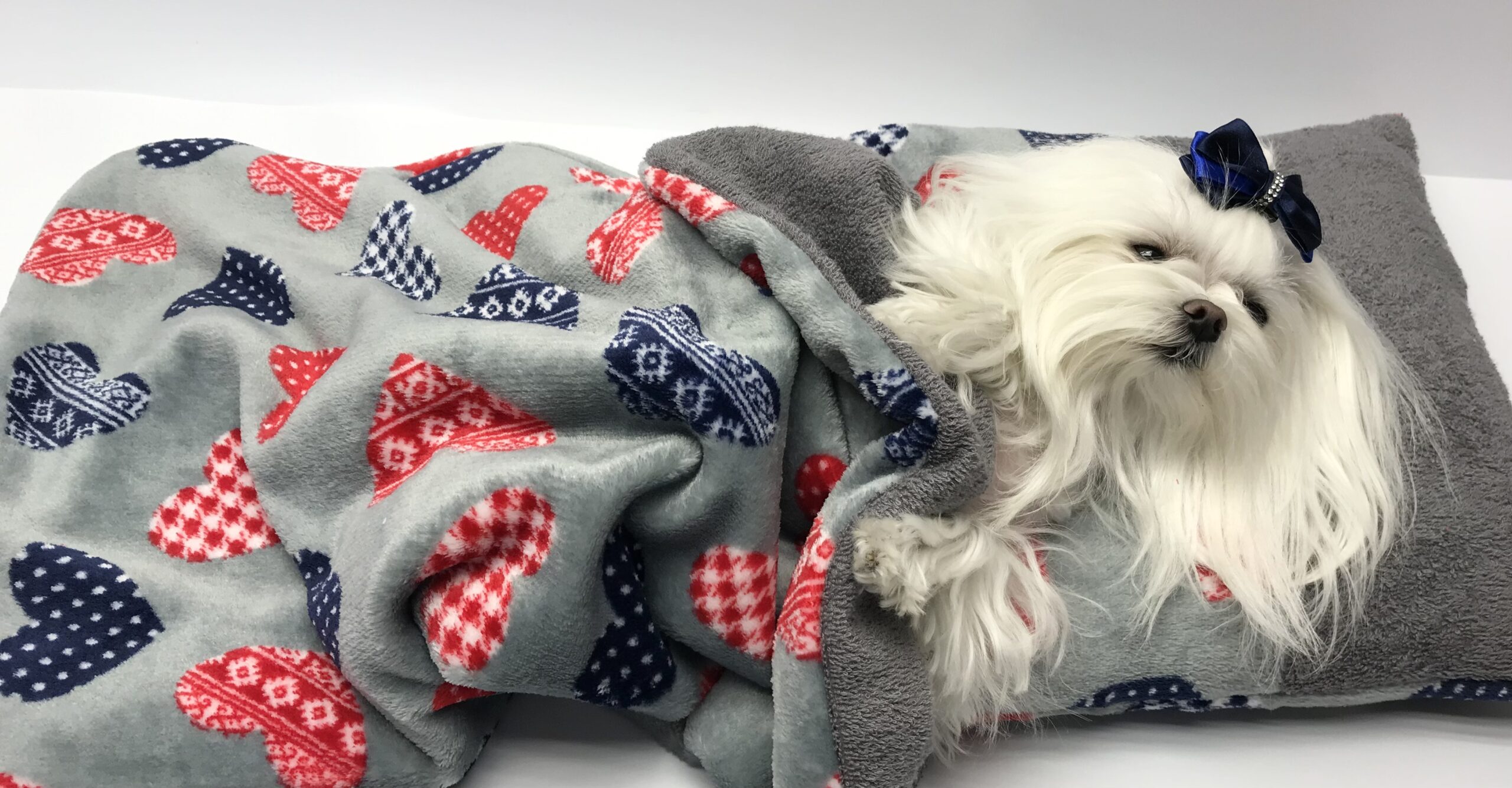 Hundeschleife Satin Elegance Herz