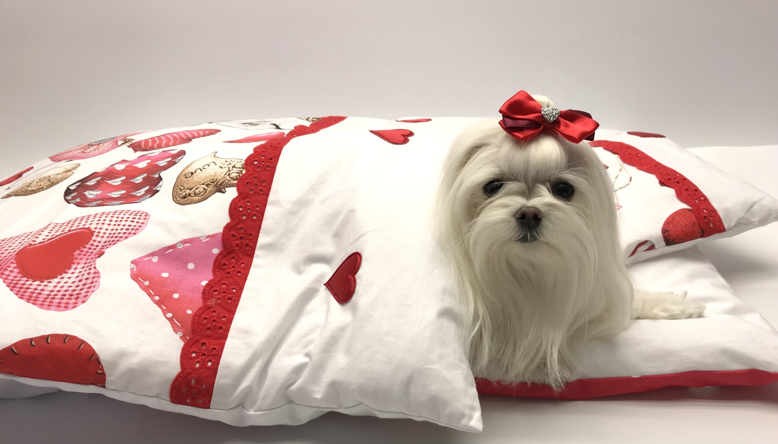 Hundeschleife Satin Elegance Herz