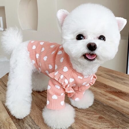 Hundeshirt T-Shirt Apricot SVENJA