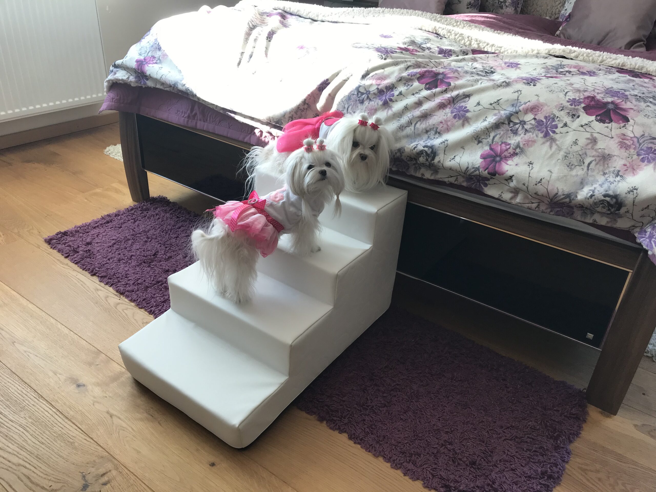 Hundetreppe KUNSTLEDER HERZ Gr.S/4-40 cm hoch