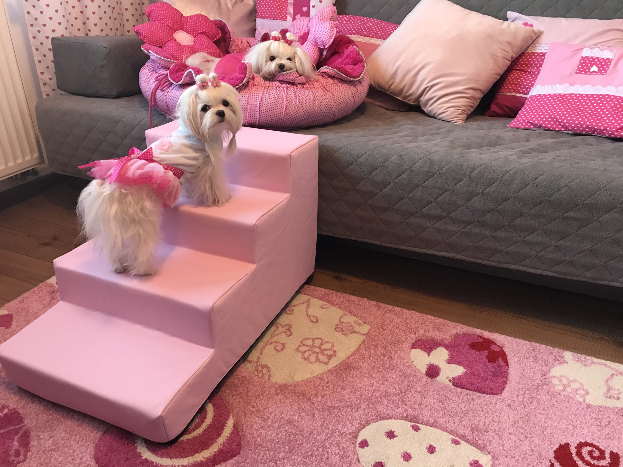 Hundetreppe KUNSTLEDER HERZ Gr.S/4-40 cm hoch