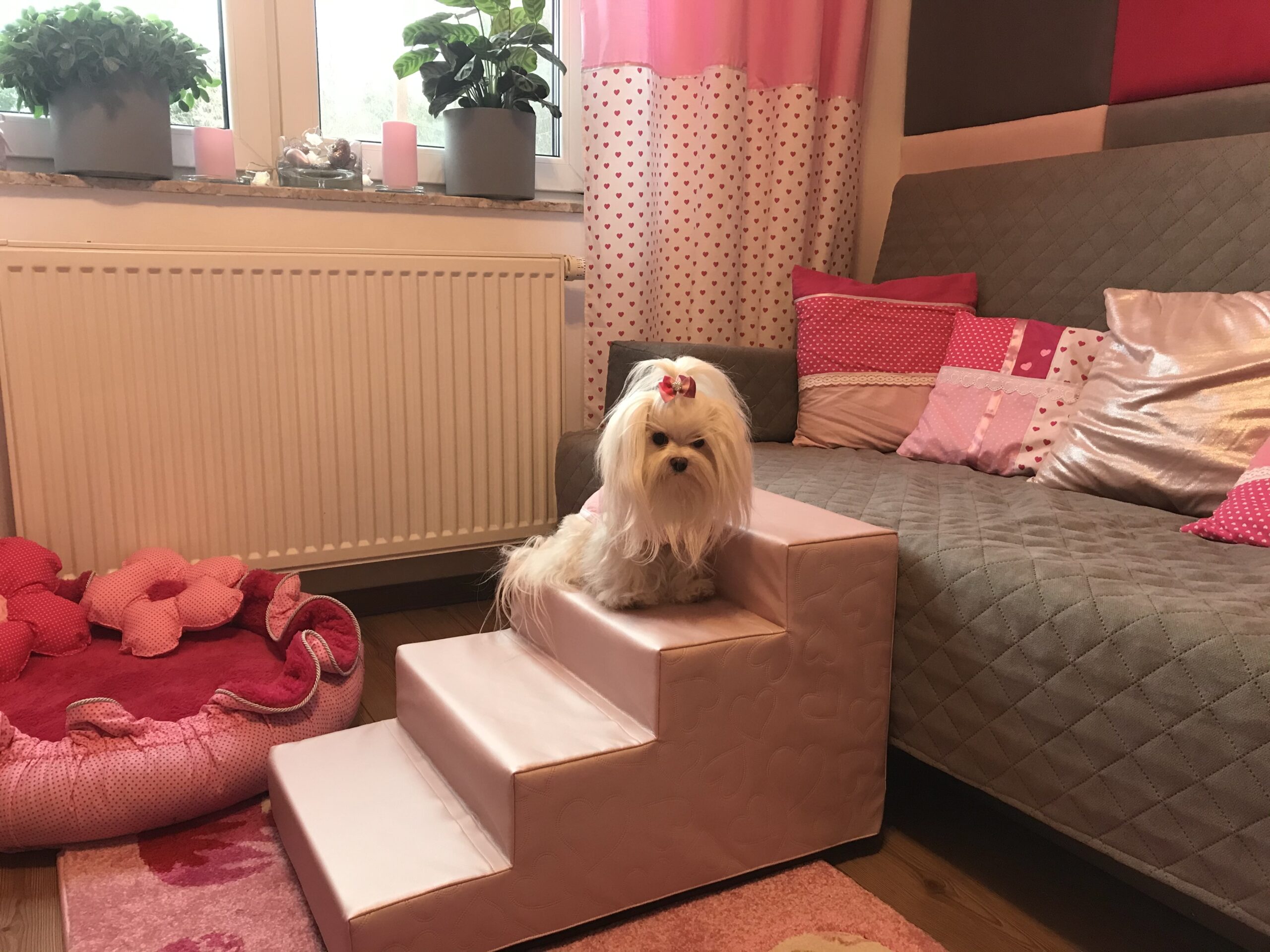 Hundetreppe KUNSTLEDER HERZ Gr.S/4-40 cm hoch