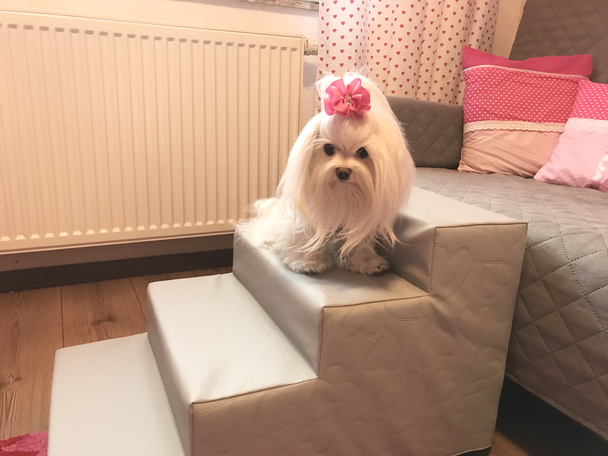 Hundetreppe KUNSTLEDER HERZ Gr.S/4-40 cm hoch