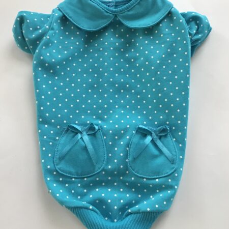 Jogger  für Hunde DogsZone TÜRKIS DOTS