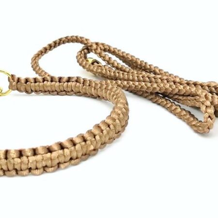 KETTE BEIGE Vorführleine,Ausstellungsleine mit Halsband und Leine 4 mm