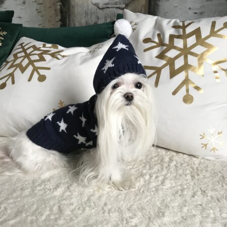 Kaputzen Hundepullover ,Strickpullover für Hunde BLAU STAR