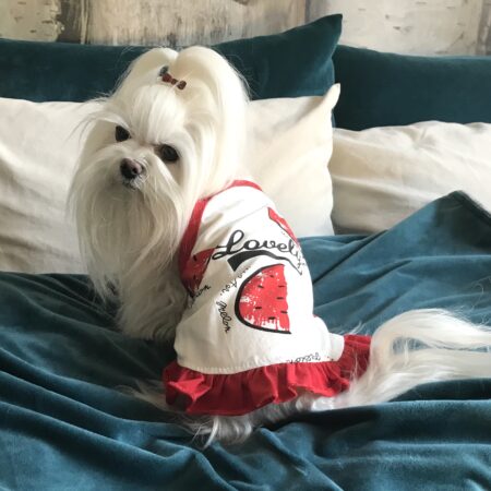 Kleidchen Shirt LOVELY MELON SUMMER