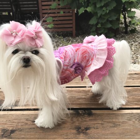 Kleidchen Shirt ROSE GARDEN für Hunde