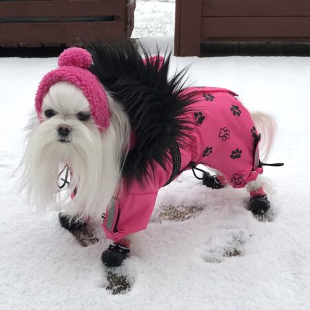 *LAHTI * Wintermantel GIRLS ONLY mit GESCHIRR kurze Beine für Hunde