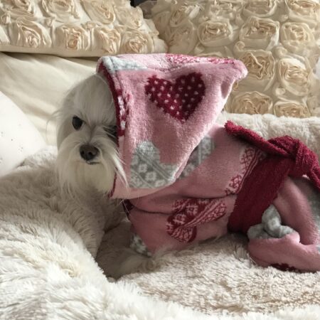 LEA Doppelseitiger Bademantel Wärmer für Hunde