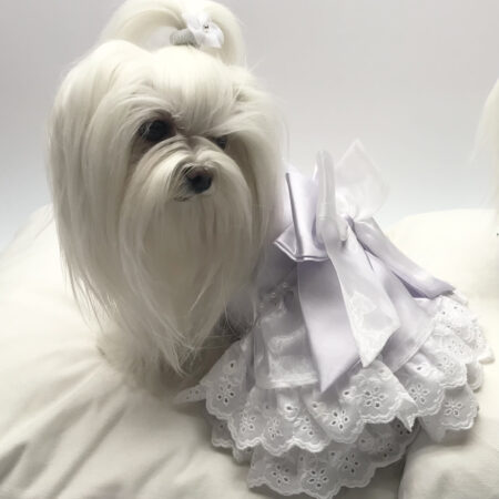 * MADELINE * BRAUTKLEID für Hunde