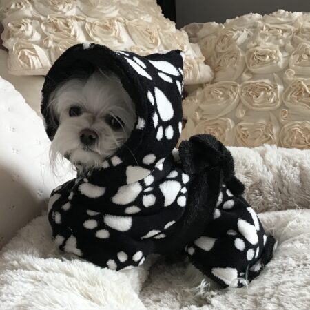 NEO Doppelseitiger Bademantel Wärmer für Hunde