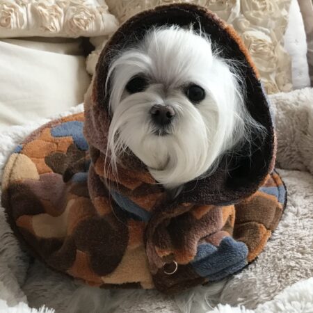 NERA Doppelseitiger Bademantel Wärmer für Hunde