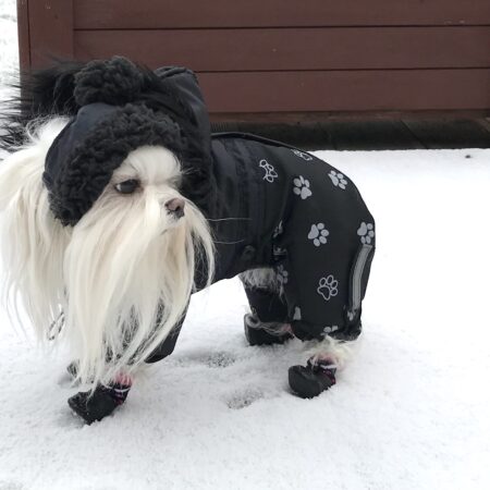 *NORDSKAR *Hunde Winteranzug mit Geschirr kurze Beine für Hunde