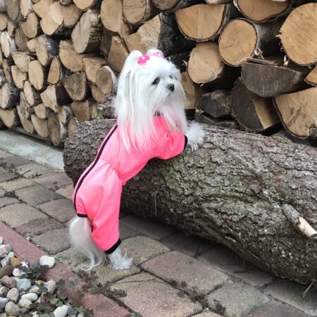 Netzanzug,Waldanzug,Schutzanzug,Wickelanzug Neon Pink