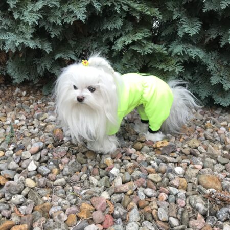 Netzanzug,Waldanzug,Schutzanzug,Wickelanzug Neon Yellow