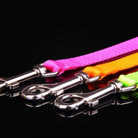 Nylonleine,Welpenleine 1 cm breit,120 cm Lang