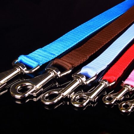 Nylonleine,Welpenleine 1,6 cm breit,120 cm Lang