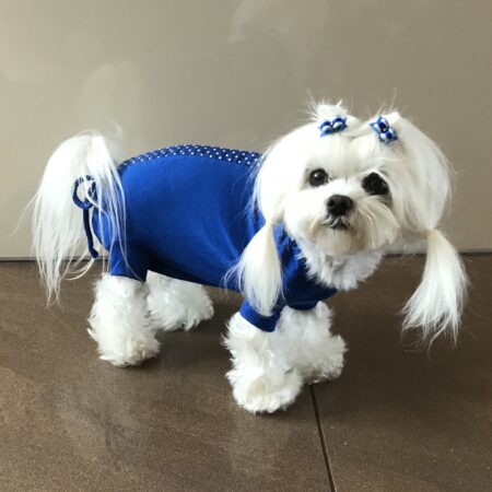 OP Body Hemd für Hunde BLUE KÖNIGSBLAU