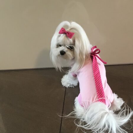 OP Body Hunde Body EXTRA für Weibchen ROSA